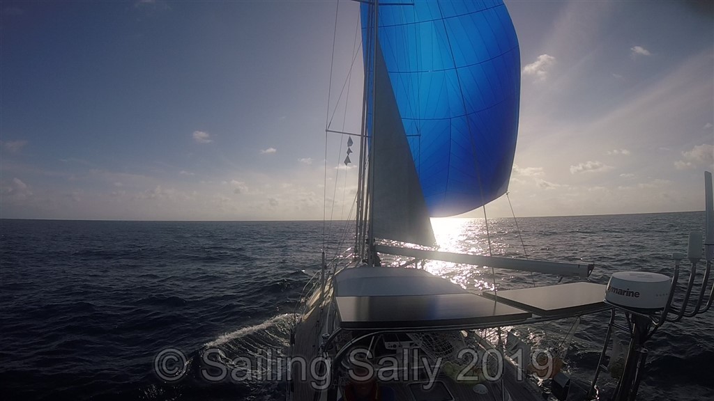 Atlantöverfart 2019, 1:a&nbsp;veckan