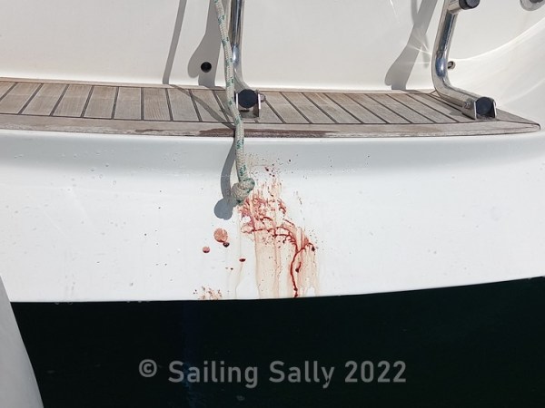 Provtur utanför Lagos