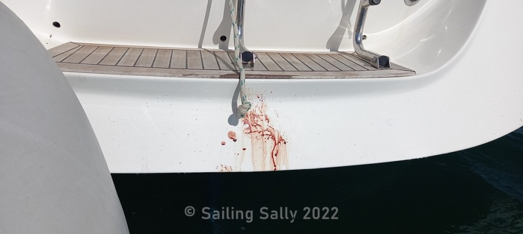 Provtur utanför Lagos